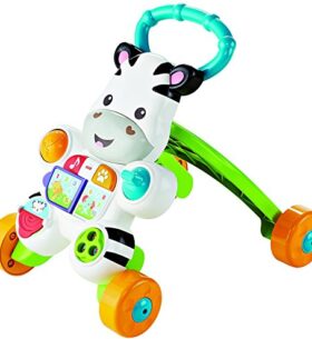 Fisher-Price – DLD96 – Mon Trotteur Zèbre Parlant