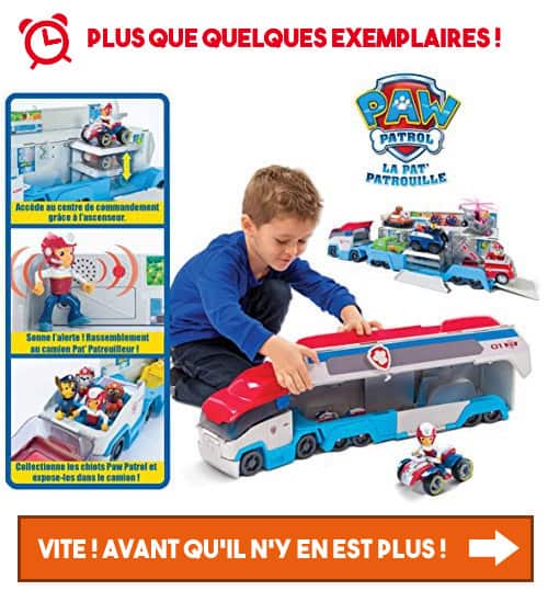 camion pat patrouilleur pas cher