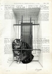 IMG 2018 scaled 1 Tableau sur vieux livre "Boucan le chat"