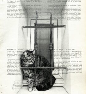 Tableau sur vieux livre « Boucan le chat »