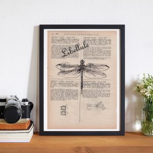 cadre libellule Tableau sur vieux livre "Libellule"