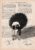 Tableau sur vieux livre « Black Swan »