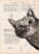 Peinture sur vieux livre « Chat curieux »
