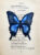 Tableau sur livre Papillon Bleu