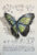 Tableau sur livre Papillon Verdoyant